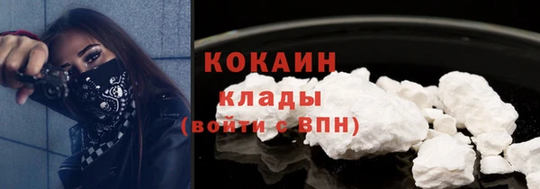 2c-b Пестово