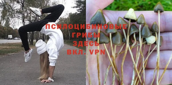 бутират Абинск