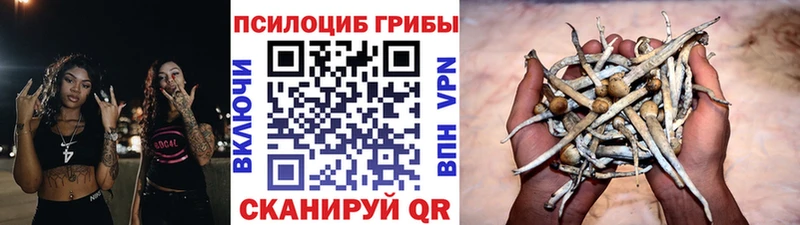 Галлюциногенные грибы мицелий  цены наркотик  Слюдянка 